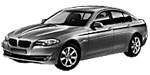 BMW F10 DF333 Fault Code